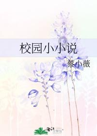 比特币已从现货ETF获批后高点下跌逾20%